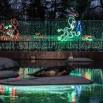 Unforgettable Group Holiday Fun in Chicago: Top Activities & Events