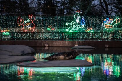 Group holiday fun in Chicago – Choose Chicago