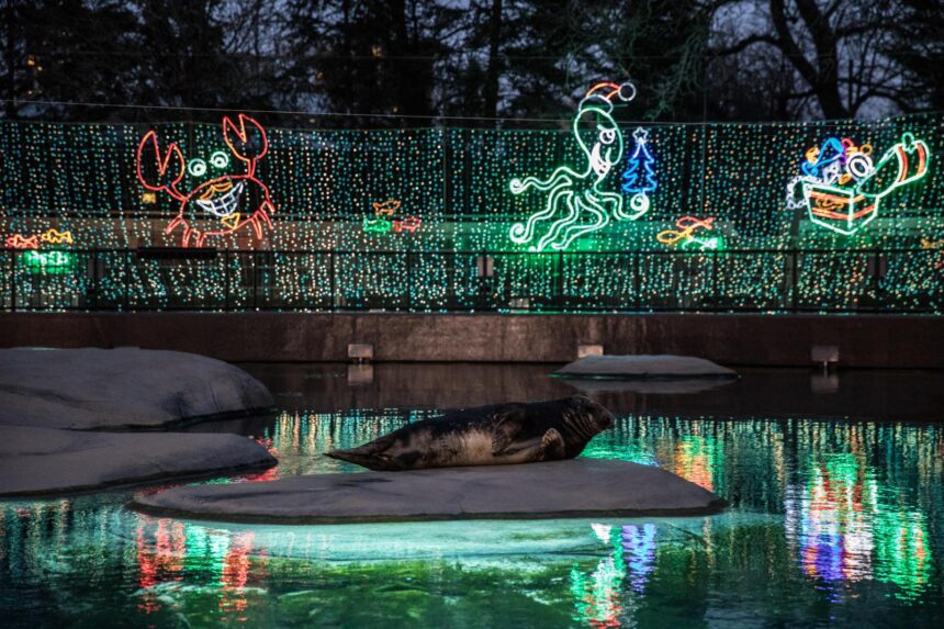 Unforgettable Group Holiday Fun in Chicago: Top Activities & Events