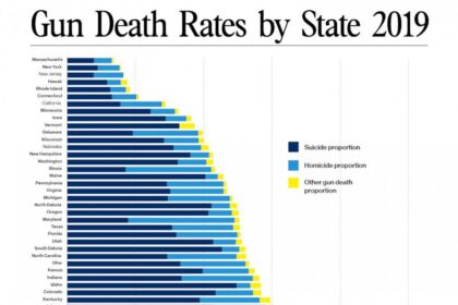 Tracking Gun Crime Across US States: What the Numbers Reveal About Gun Control