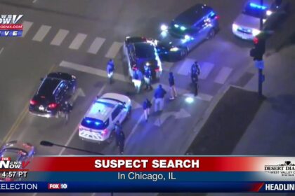 Chicago Police Pursuits Have Cost Taxpayers 1.8M Since 2019 in Latest Settlement