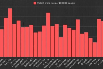 Mid-Year 2024 Update: Emerging Crime Trends in U.S. Cities
