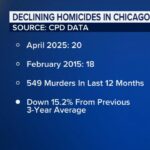Chicago Homicides in 2025: 116 Lives Lost and How It Stacks Up Against Past Years