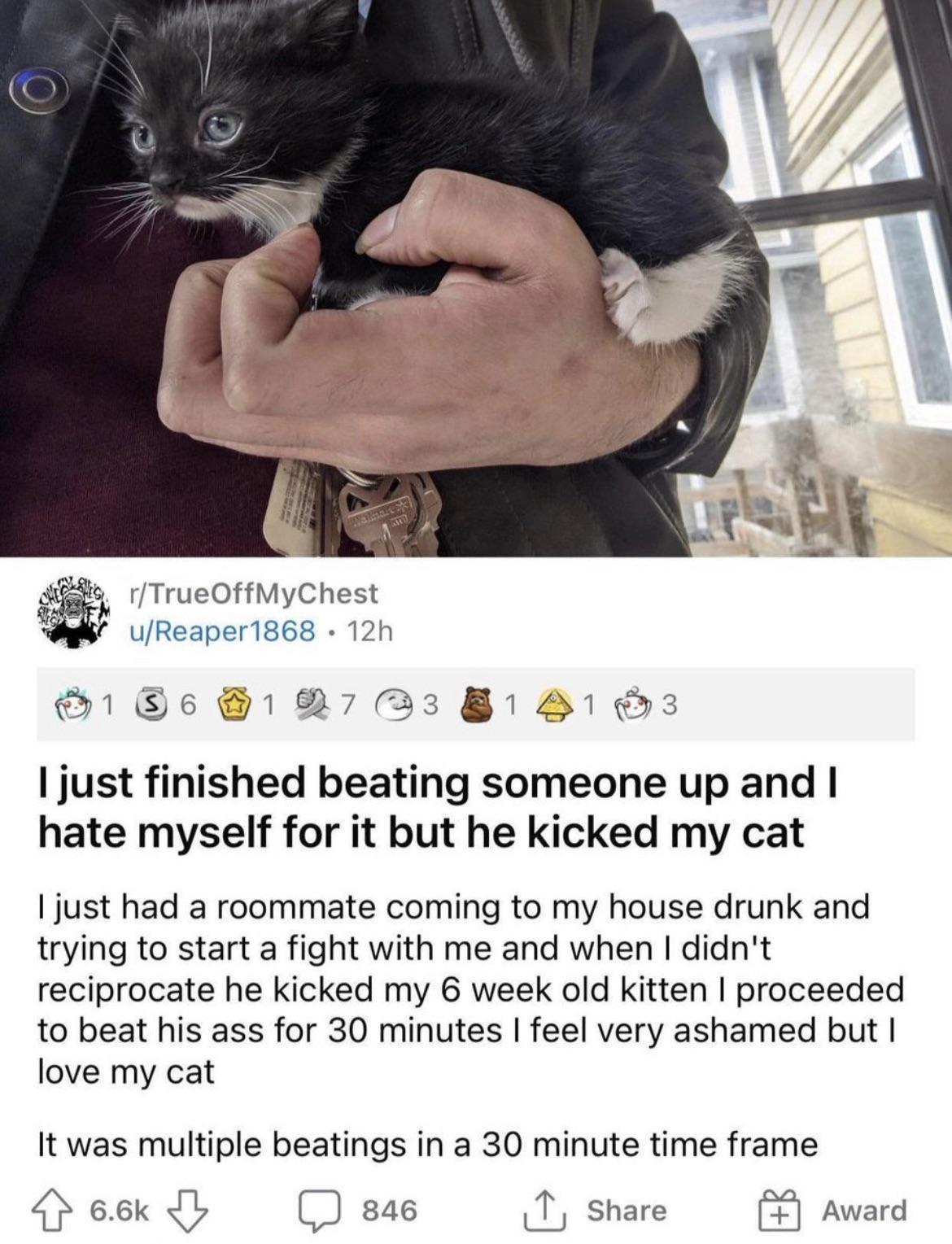 Deadly Dispute Over Cat with Roommate Ends in Tragic Stabbing of Nursing Student Deadly Dispute Over Cat with Roommate Ends in Tragic Stabbing of Nursing Student