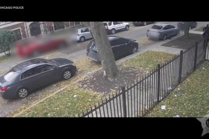 Dramatic Daytime Armed Robberies Caught on Video in South Shore Neighborhood