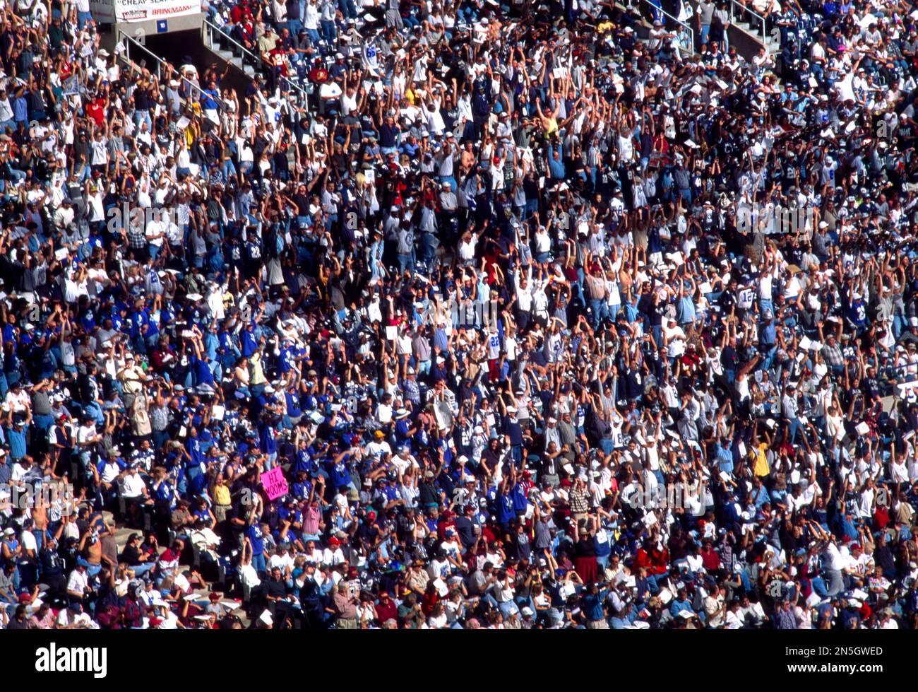 Dallas Crowd Unites with Powerful Chant: “No Trump, No KKK, No Racist USA” at Post-Election Rally Dallas Crowd Unites with Powerful Chant: “No Trump, No KKK, No Racist USA” at Post-Election Rally