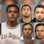 Chicago Police Probed Over Directive to Report Migrant Arrests to Federal Authorities