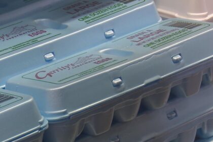 Egg Prices Fall for the First Time in Over Six Months, Yet Stay Elevated