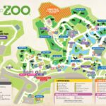 San Antonio Zoo Nominated for USA Today’s 2025 10Best Readers’ Choice Awards