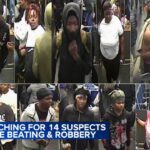 Tragic Stabbing in Budlong Woods: Woman Killed on Balmoral Avenue, Suspect in Custody