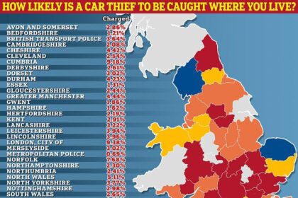 Mapping Vehicle Crime Hotspots: A Visual Guide to Recorded Incident Locations
