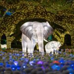 15 Spectacular Holiday Light Displays You Can’t Miss in Houston This Season