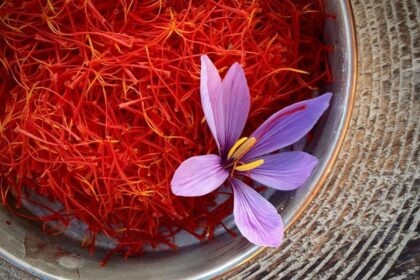 An Afghan in Chicago Finds Success Selling Saffron From Back Home – WSJ
