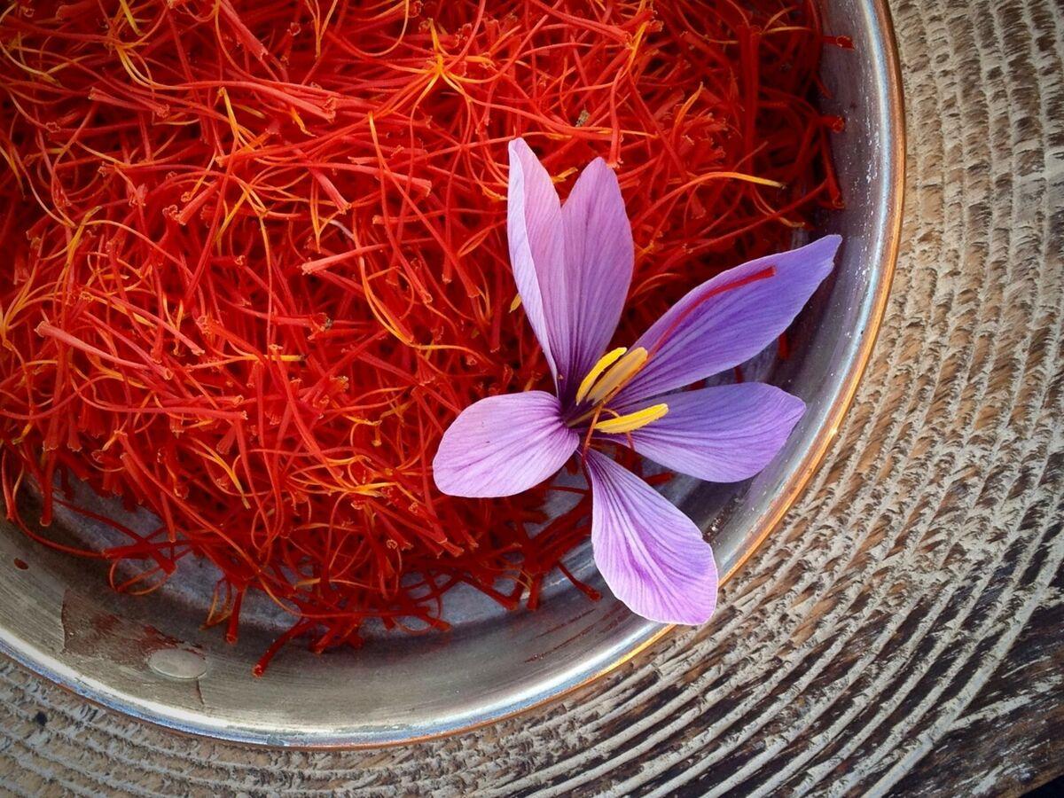 An Afghan in Chicago Finds Success Selling Saffron From Back Home – WSJ An Afghan in Chicago Finds Success Selling Saffron From Back Home – WSJ