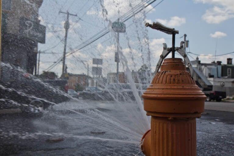 Extreme Heat in Philly: Essential Tips to Stay Safe and Beat the Heat Extreme Heat in Philly: Essential Tips to Stay Safe and Beat the Heat