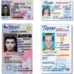 Texas Proof-of-Citizenship Law Fails, But the Fight Is Far From Over
