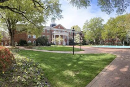 Discover the Story Behind Elon: A Journey of Innovation and Excellence