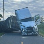 Millions of Bees Swarm Free After Lorry Overturns in the US