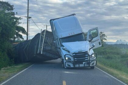 Millions of Bees Swarm Free After Lorry Overturns in the US