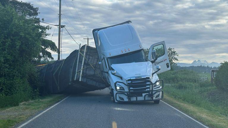 Millions of Bees Swarm Free After Lorry Overturns in the US Millions of Bees Swarm Free After Lorry Overturns in the US