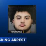 Two Teens Charged After Carjacking and Crashing Into Police Car in Bucks County