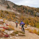 Top Must-Do Activities and Attractions in Washington