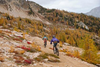Top Must-Do Activities and Attractions in Washington