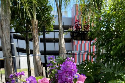 Houston Flower Shop Faces Rising Costs Ahead of Mother’s Day Due to Tariffs