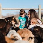 Top Family-Friendly Farms to Visit in Houston for Fun and Adventure