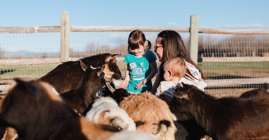 Top Family-Friendly Farms to Visit in Houston for Fun and Adventure Top Family-Friendly Farms to Visit in Houston for Fun and Adventure