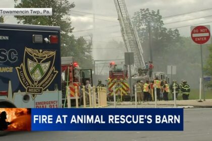 Tragic Fire in North Philadelphia Claims Lives of Multiple Animals, Officials Report
