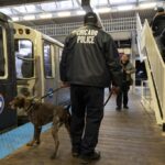 Chicago Experiences Nearly One Crime Every Three Hours on CTA