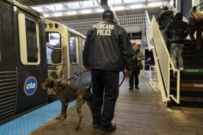 Chicago Experiences Nearly One Crime Every Three Hours on CTA