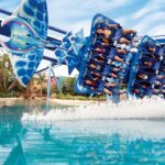 SeaWorld Ranks Among the Top 17 Amusement Parks in the U.S. for 2023