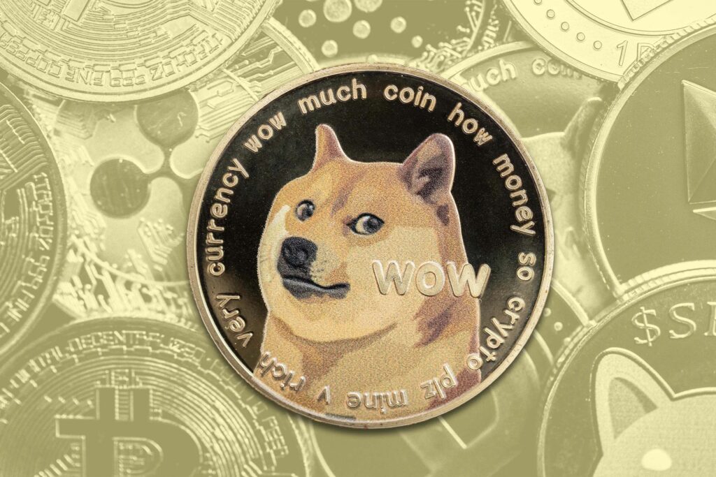 What Is DOGE and How Is It Changing Amid Moves by Trump and Musk? What Is DOGE and How Is It Changing Amid Moves by Trump and Musk?
