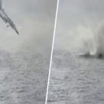 U.S. Navy Jet Crashes into San Diego Harbor, Crew Ejects Safely