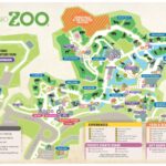 San Antonio Zoo Named One of America’s Top Zoos by Readers