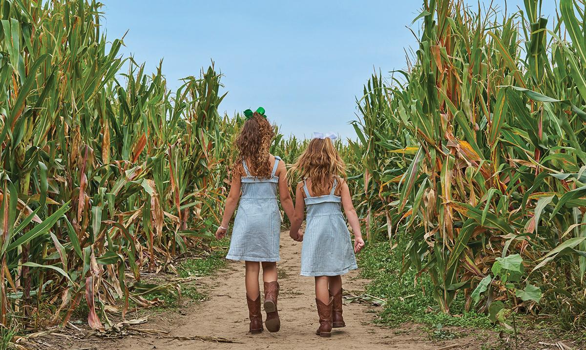 Best Farms for Family Fun and Entertainment in Chicago – Mommy Poppins