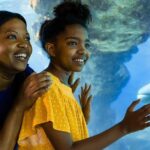 SeaWorld Welcomes Teachers with Free Admission and Special Discounts for Preschoolers