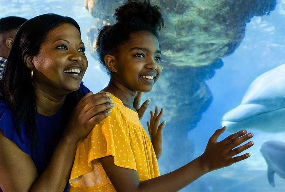 SeaWorld Welcomes Teachers with Free Admission and Special Discounts for Preschoolers SeaWorld Welcomes Teachers with Free Admission and Special Discounts for Preschoolers