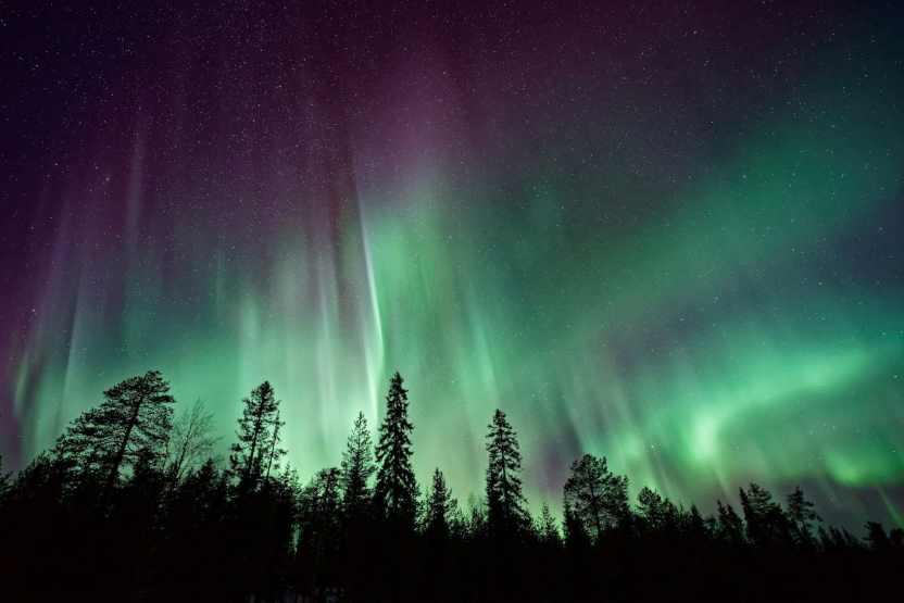 How Canadian Tariffs Are Impacting Tourism and Local Businesses in Northern Washington How Canadian Tariffs Are Impacting Tourism and Local Businesses in Northern Washington