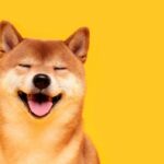 How DOGE Broke Into Washington: Musk and Allies Seize Control of Government Power Hubs Through Secretive Agencies