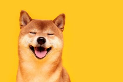 How DOGE Broke Into Washington: Musk and Allies Seize Control of Government Power Hubs Through Secretive Agencies