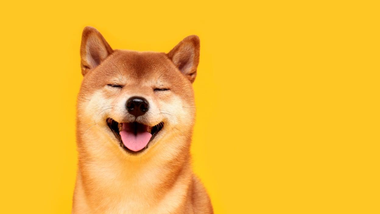 How DOGE Broke Into Washington: Musk and Allies Seize Control of Government Power Hubs Through Secretive Agencies
