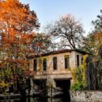 10 Surprisingly Free Activities You Can Enjoy in San Antonio