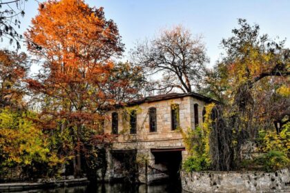 10 Surprisingly Free Activities You Can Enjoy in San Antonio