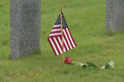 12 North Texas events to check out this Memorial Day weekend – Dallas News