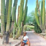 Unforgettable Experiences: Top Must-Do Activities and Attractions in Phoenix, AZ
