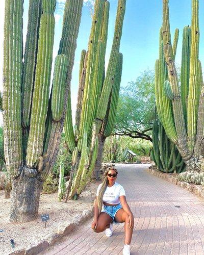 Unforgettable Experiences: Top Must-Do Activities and Attractions in Phoenix, AZ Unforgettable Experiences: Top Must-Do Activities and Attractions in Phoenix, AZ