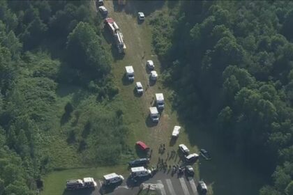 14 Injured in Dramatic Skydiving Plane Crash in Gloucester County